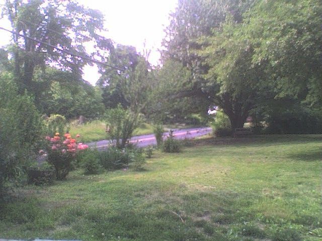 front yard