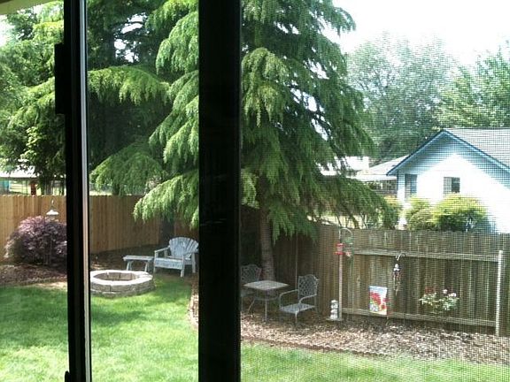 Backyard w/ fire pit