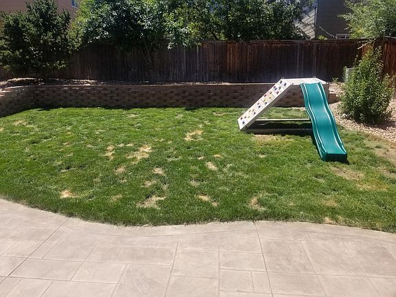 Backyard. 