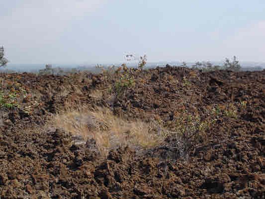 2nd image of Macadamia Dr Lot 10