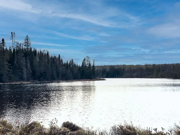 Bone Lake Rd, Crystal Falls, MI 49920