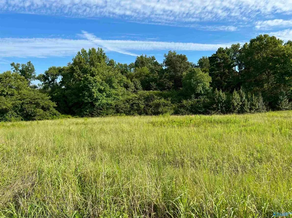 140 Padgett Rd, Grant, AL 35747