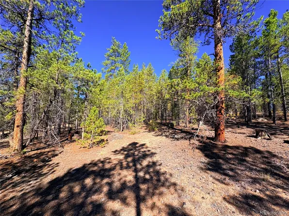 323 Aspen Drive LOT 272, Leadville, CO 80461
