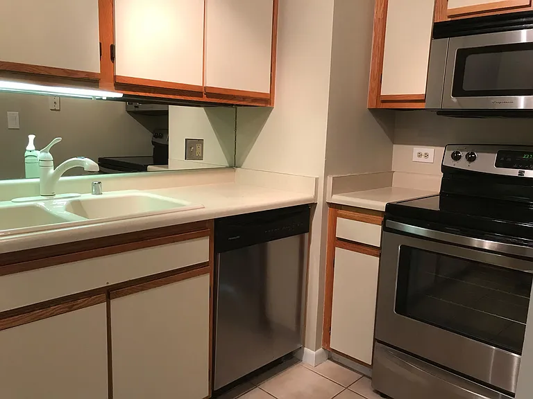1122 N Clark St #1510 — Photo 12