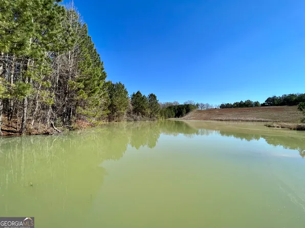 0 Bear Branch Rd, Kathleen, GA 31047