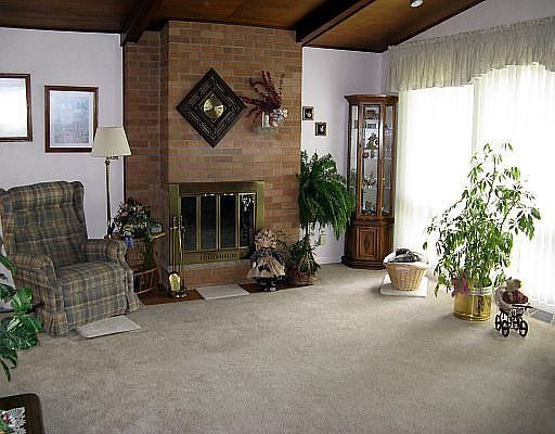 Living Room Fireplace