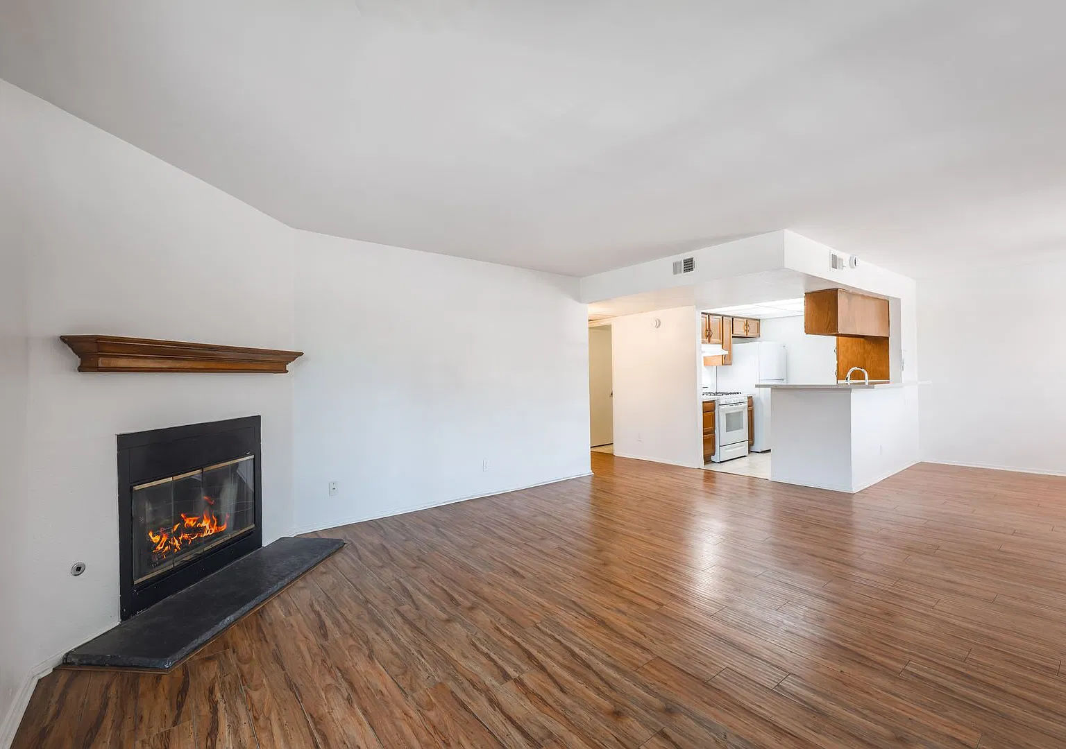10133 Tujunga Canyon Blvd. — Photo 2