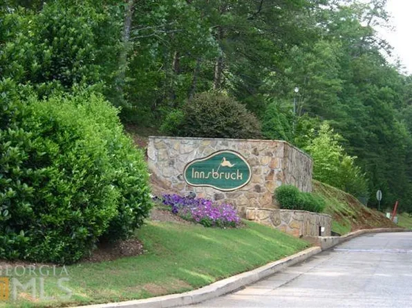 70 Bahn Erlenbruck, Helen, GA 30545