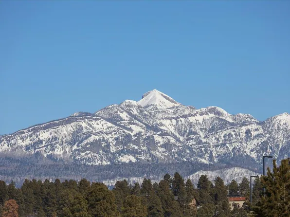 (undisclosed Address), Pagosa Springs, CO 81147