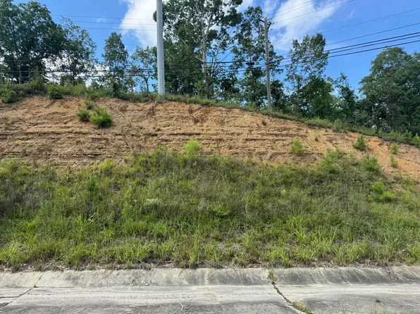 Highway 78 Loop, Jasper, AL 35501