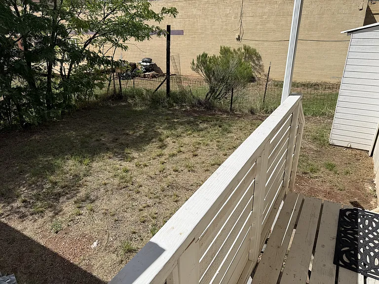 back yard