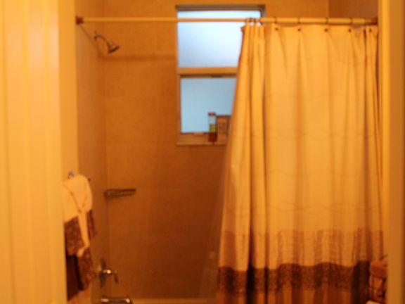 FIrst Floor Bathroom