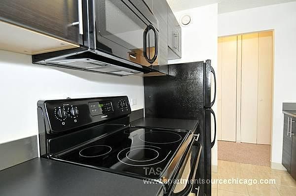 1st image of 1133 N Dearborn St APT 2702