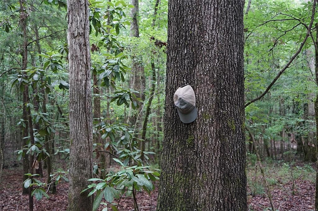 982 Houlton Rd, Grady, AL 36036 Zillow