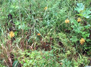 4367 E River Rd #B, Mentone, AL 35984