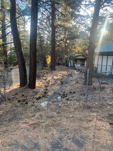 569 Victoria Ave Lot 17, Sugarloaf, CA, 92386
