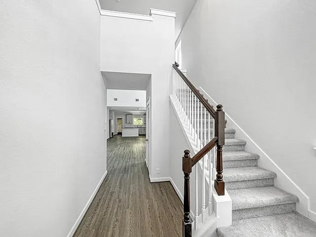 11234 Casina Vw — Photo 19