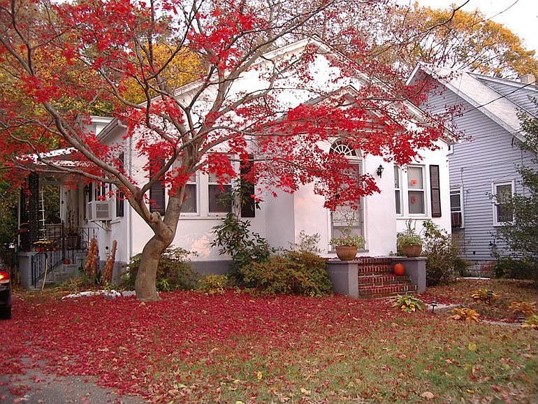 driveway side to yard