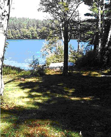 View from porch