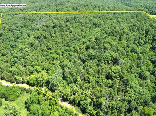 1 Broads Branch Rd, Macks Creek, MO 65786