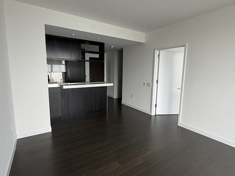 1 Manhattan Sq #57L — Photo 14