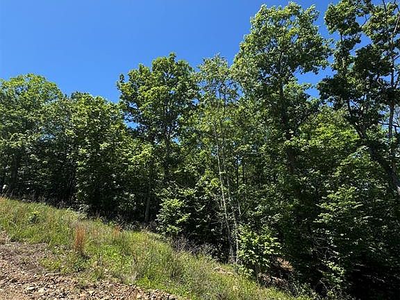 5th image of 27 Mountain Blf