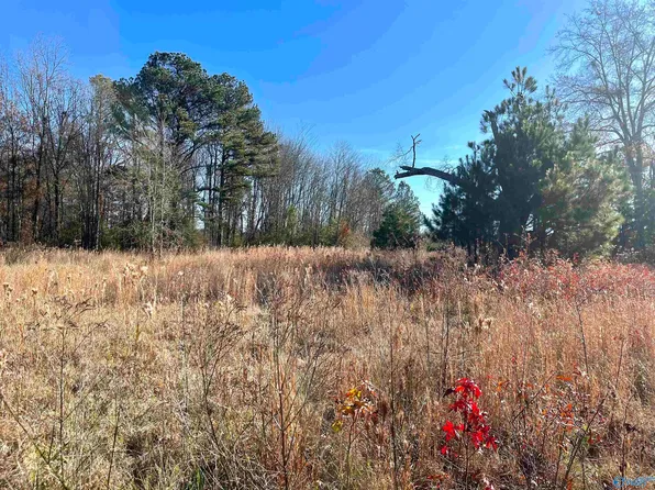 2400 County Road 69, Centre, AL 35960