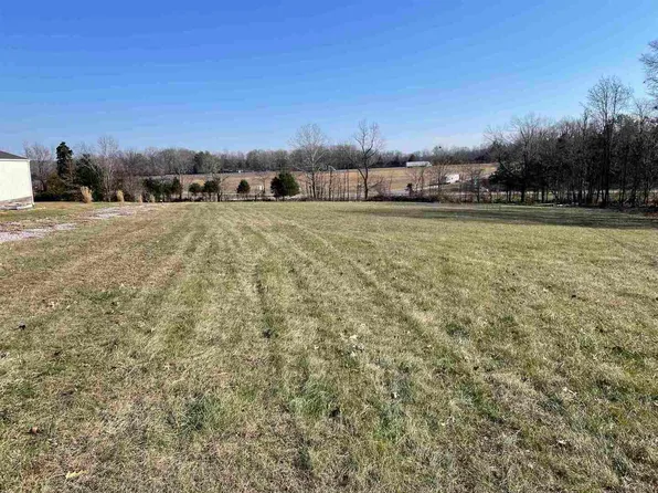 Tulip Ln, Vienna, IL 62995