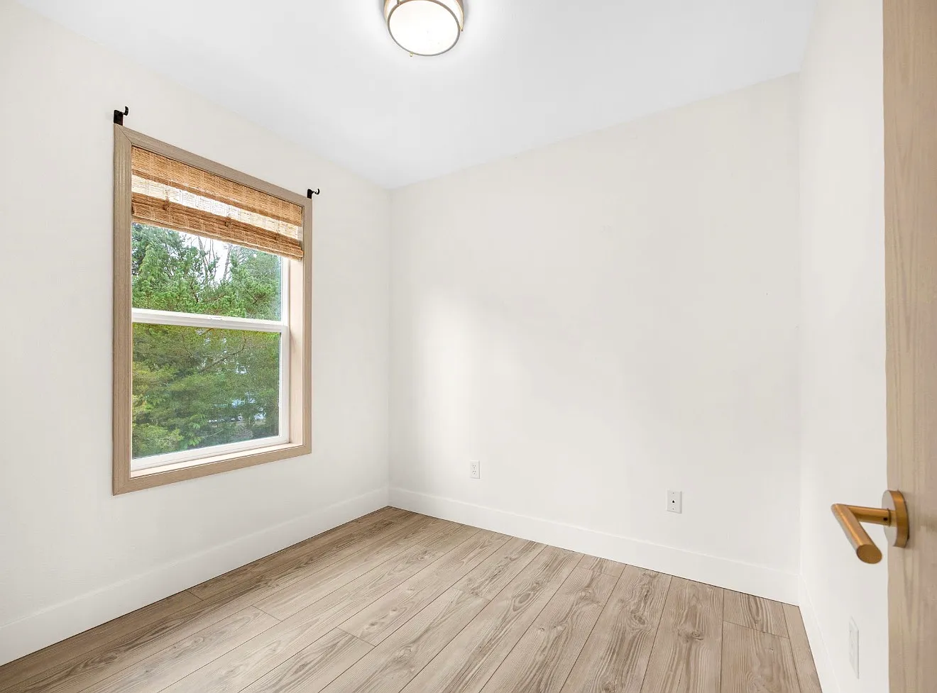 3 bed, 1200 sqft, $2,500 — Photo 3