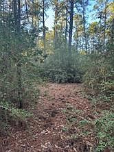 4th image of 107 Lake Point Way