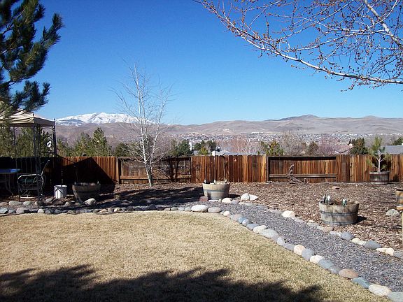backyard 3