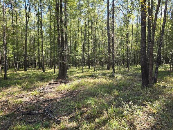 0 Dogtown Rd, Hazlehurst, MS 39083