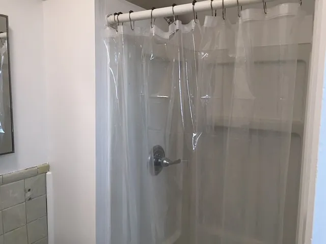 Bath Shower