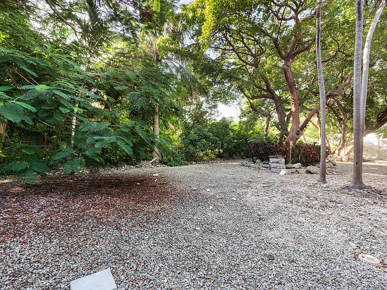 Bougainvillea St — Photo 85