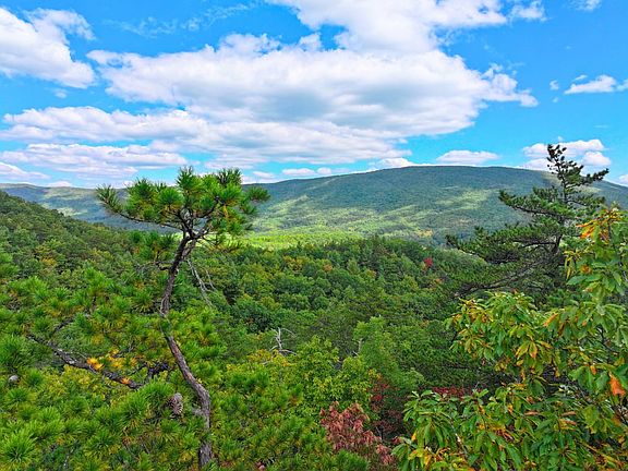 Approx 98 Acres of Unrestricted Land for Sale beside Jefferson National Forest - by Justin Rolfe, Mossy Oak Properties Virginia