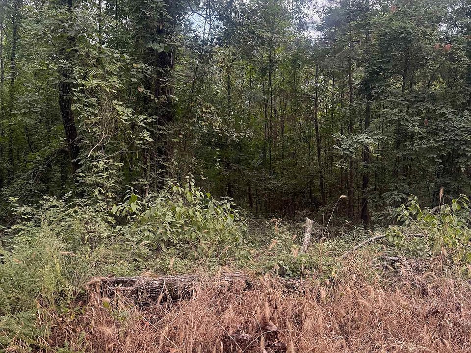 2nd image of Williams Cutoff Rd
