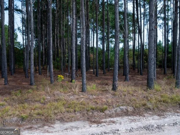 0 Lewis Davis Rd, Waycross, GA 31503