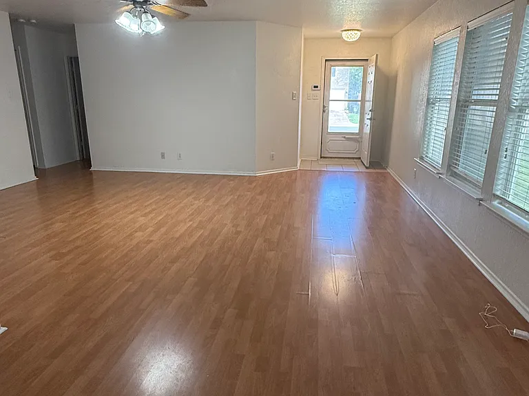 7254 Dwarf Palm — Photo 3