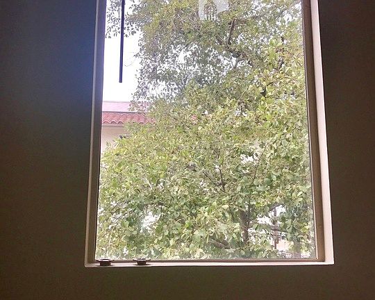 3rd image of 537 N Market St APT 2