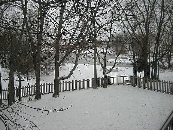 Beautiful pond behind home