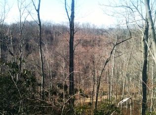 899 S Fork Rd, Stanton, KY 40380