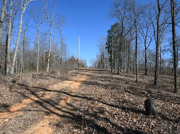 117 Wyatt Ln Lot 8, Linden, TN 37096