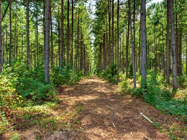 0 Todd Rd, Honea Path, SC 29654