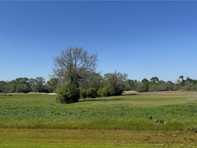9956 Panther Ridge Dr, Iola, TX, 77861