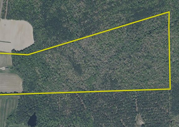 2nd image of 452 Strange Rd