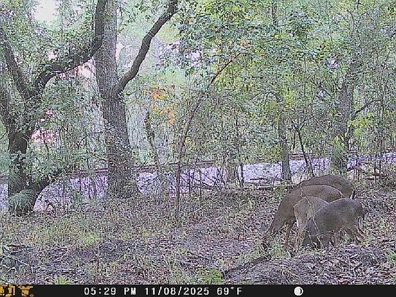 3rd image of Jamestown Rd