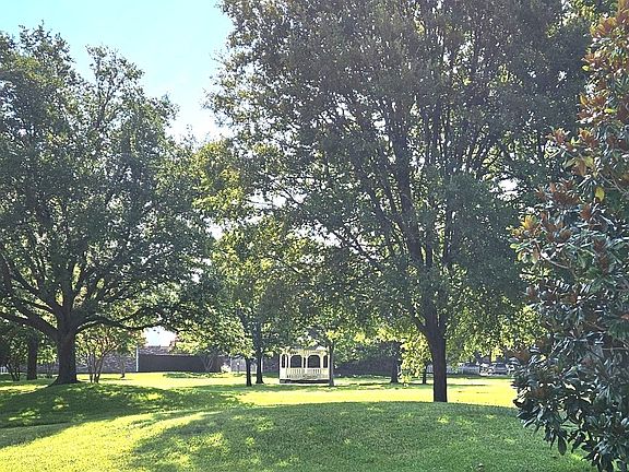 Community Park View 2