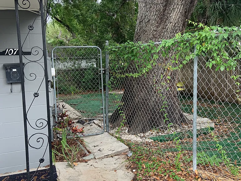 107 N Habana Ave — Photo 2