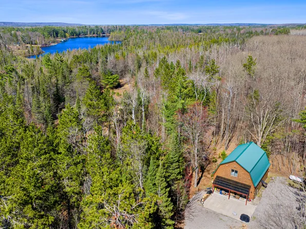 11500 Jackpine Trl, Atlanta, MI 49709