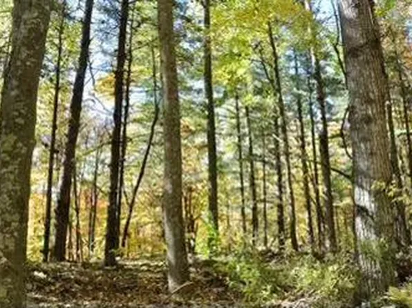 Mitchells Ridge Rd, Princewick, WV 25908